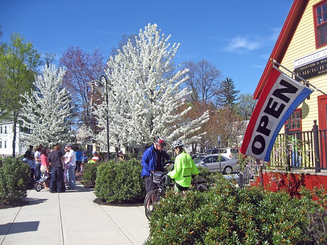 plaza and flowering trees