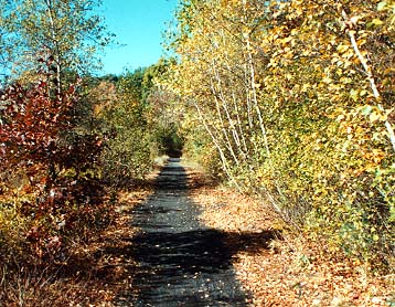 Narrow-Gauge Rail-Trail