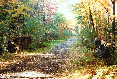 Narrow-Gauge Rail-Trail north of Sweetwater Avenue